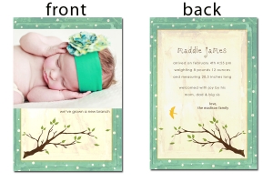 Tulsa Photography Birth Announcements
